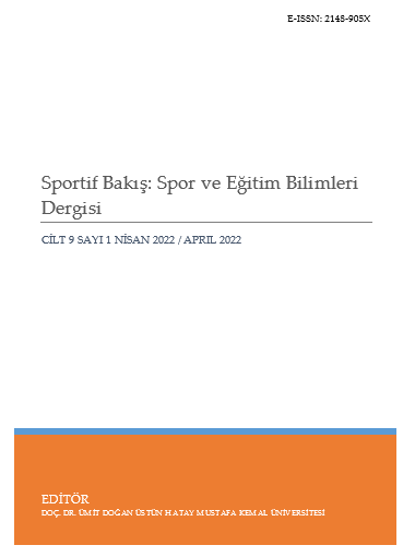 The Decision Making Styles of Consumer, Motivated Consumer Innovation and the Effect of Perceived Risk on Purchasing (A Research On Sporting Goods) Cover Image
