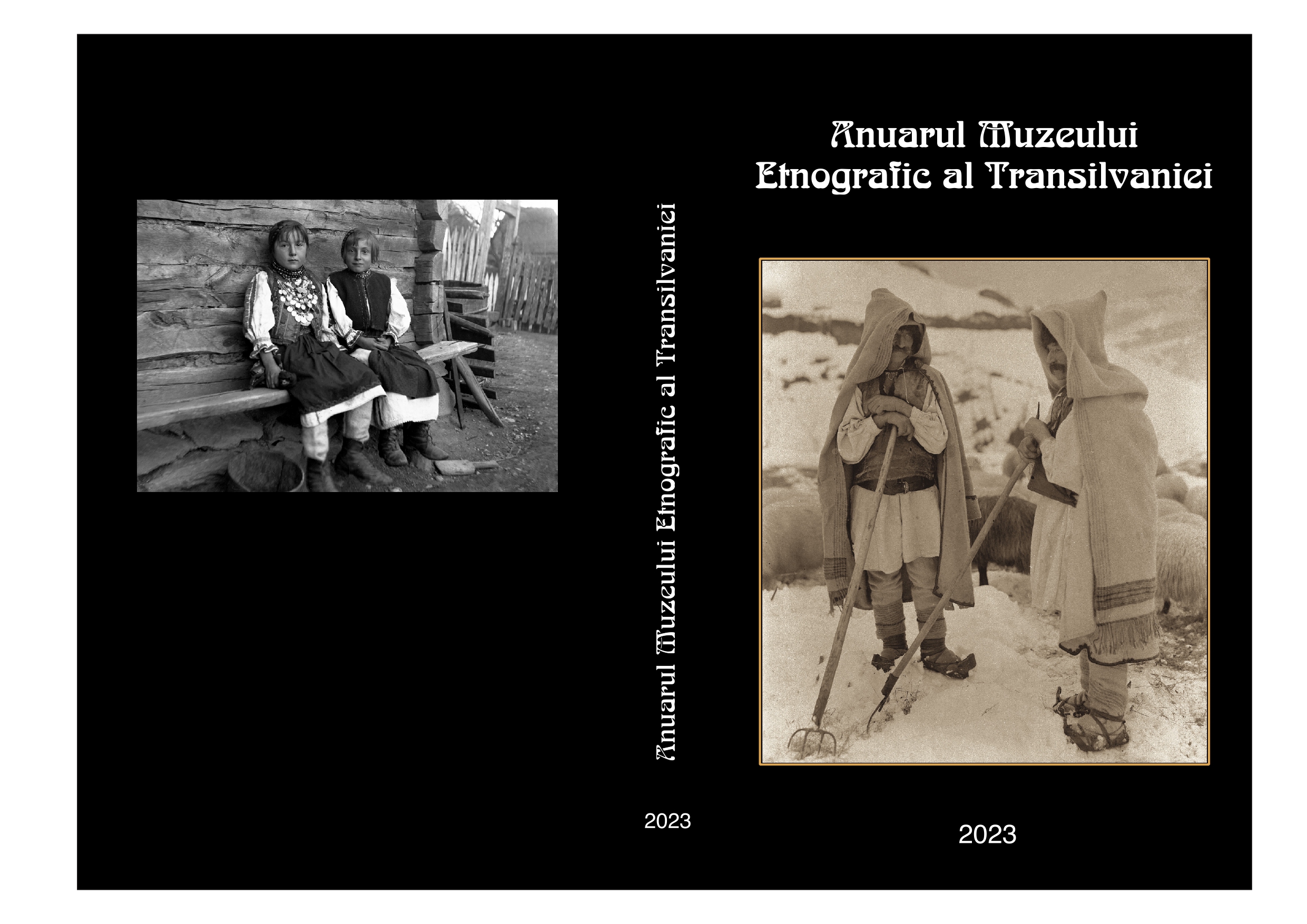 The removal of some partial repair interventions of an ethnographic plate and its restoration Cover Image