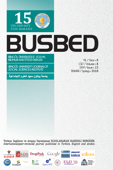 Bingöl University Journal of Social Sciences Institute (BUSBED) Cover Image